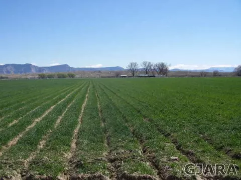 1689 18 Rd, Fruita, CO 81521 photo 30