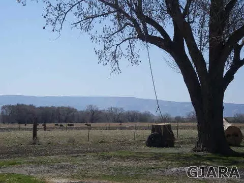 1689 18 Rd, Fruita, CO 81521 photo 9