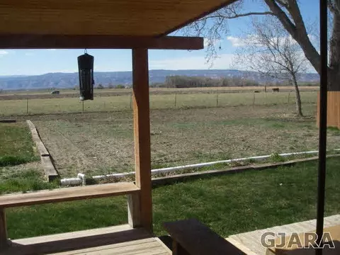 1689 18 Rd, Fruita, CO 81521 photo 29