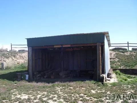 1689 18 Rd, Fruita, CO 81521 photo 35