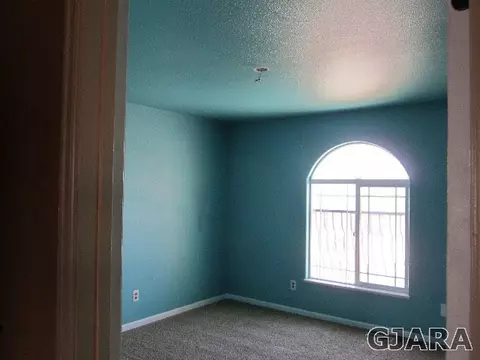 872 Sabil Dr, Fruita, CO 81521 photo 16
