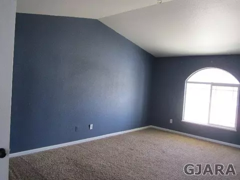 872 Sabil Dr, Fruita, CO 81521 photo 8