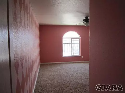 872 Sabil Dr, Fruita, CO 81521 photo 14