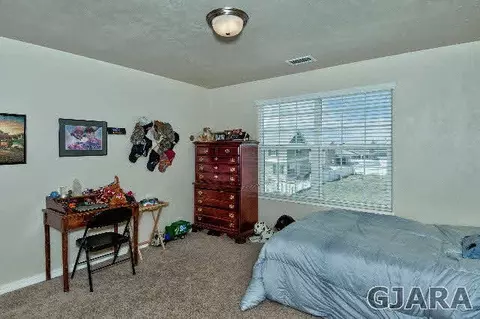 1232 E Addington Ln, Fruita, CO 81521 photo 27