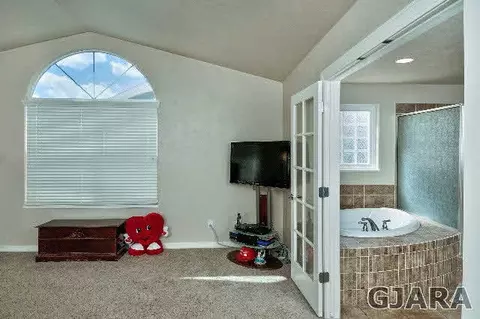 1232 E Addington Ln, Fruita, CO 81521 photo 23