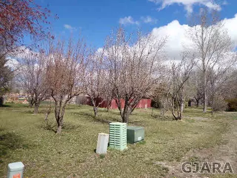 1690 Ruby Lee Dr, Fruita, CO 81521 photo 27