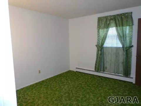 1690 Ruby Lee Dr, Fruita, CO 81521 photo 13
