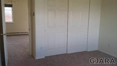 641 Corona Ct, Fruita, CO 81521 photo 5