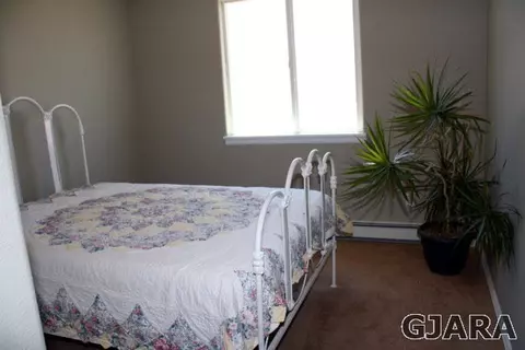 894 Kaley St, Fruita, CO 81521 photo 11