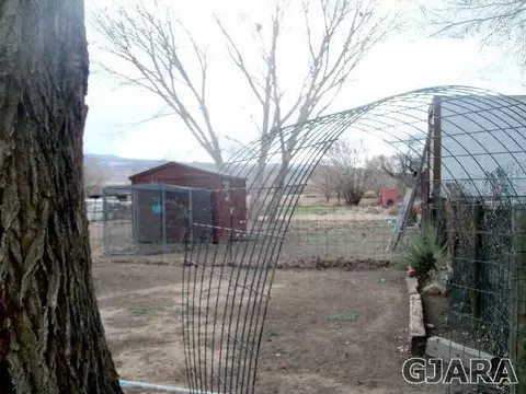 989 17 Rd, Fruita, CO 81521 photo 12