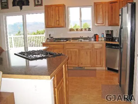 14480 Scott Loop, Collbran, CO 81624 photo 5