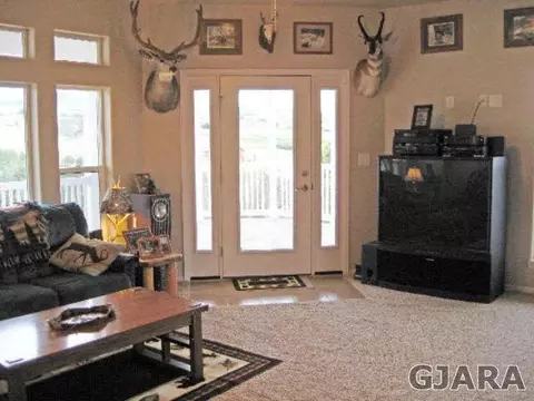 14480 Scott Loop, Collbran, CO 81624 photo 3