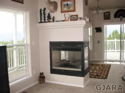 14480 Scott Loop, Collbran, CO 81624 photo 4