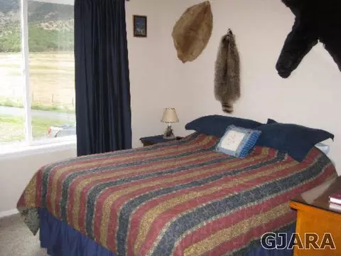 14480 Scott Loop, Collbran, CO 81624 photo 10