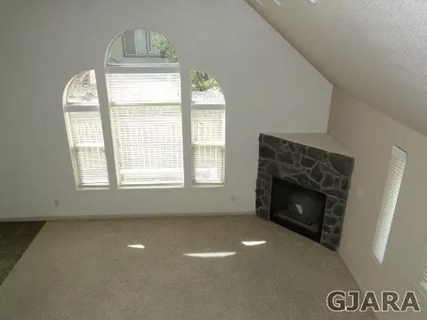 566 Cougar Run, Fruita, CO 81521 photo 13