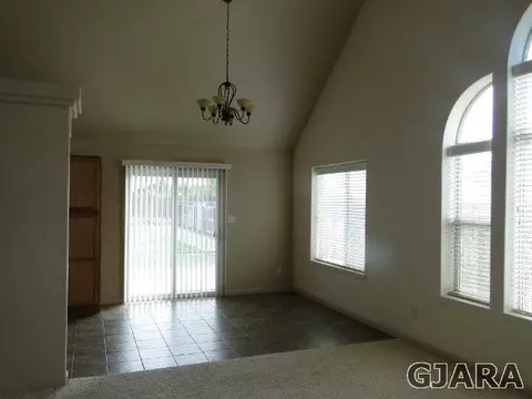 566 Cougar Run, Fruita, CO 81521 photo 4