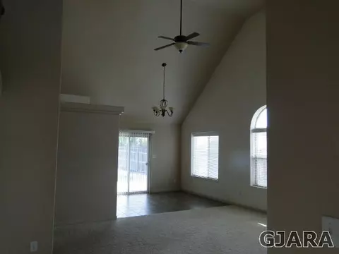 566 Cougar Run, Fruita, CO 81521 photo 3