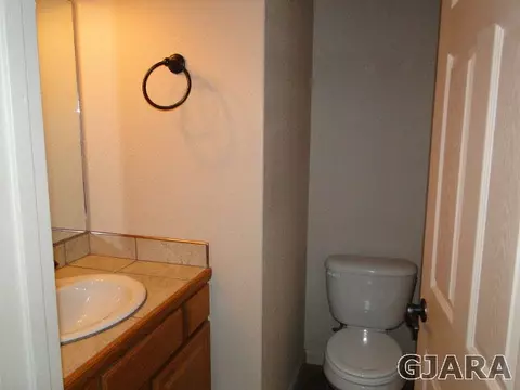 566 Cougar Run, Fruita, CO 81521 photo 12