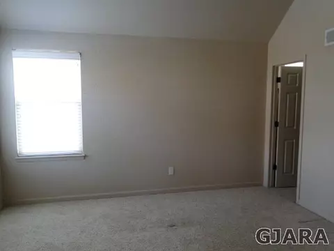 566 Cougar Run, Fruita, CO 81521 photo 7