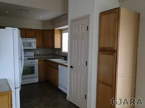 566 Cougar Run, Fruita, CO 81521 photo 5