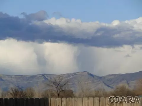 566 Cougar Run, Fruita, CO 81521 photo 21