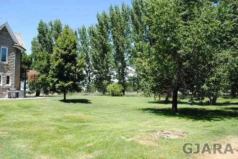 798 N Mesa St, Fruita, CO 81521 photo 6