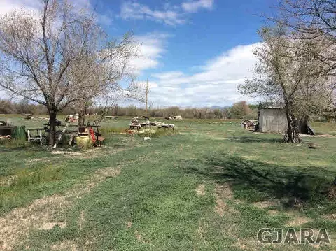 1241 20 Rd, Fruita, CO 81521 photo 4