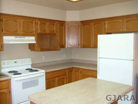 119 Pinyon Dr, Fruita, CO 81521 photo 5