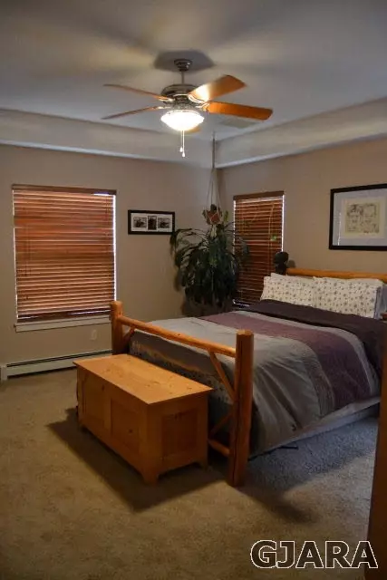 1060 Echo Canyon St, Fruita, CO 81521 photo 13
