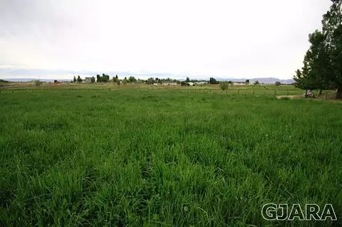 1758 Waters Ln, Fruita, CO 81521 photo 20