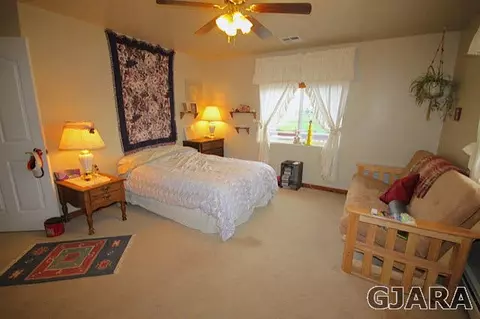 1758 Waters Ln, Fruita, CO 81521 photo 8