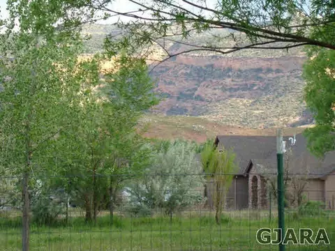 320 Kaley St, Fruita, CO 81521 photo 5