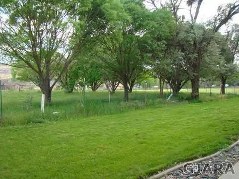 320 Kaley St, Fruita, CO 81521 photo 7