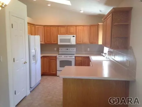 442 Gold Rush Dr, Fruita, CO 81521 photo 5