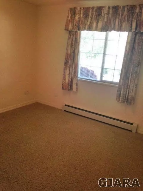 442 Gold Rush Dr, Fruita, CO 81521 photo 9