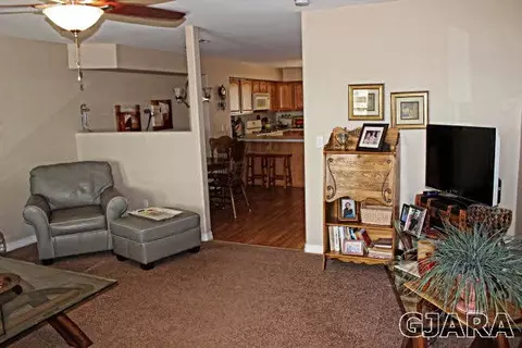 1108 Windsor Park Dr, Fruita, CO 81521 photo 3