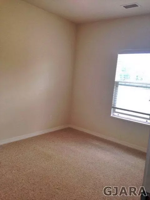 166 Glen Haven St, Fruita, CO 81521 photo 6