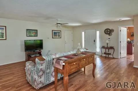 411 Gold Rush Dr, Fruita, CO 81521 photo 8