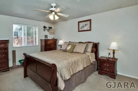 411 Gold Rush Dr, Fruita, CO 81521 photo 19