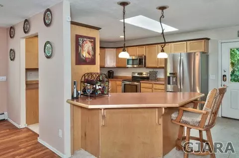 411 Gold Rush Dr, Fruita, CO 81521 photo 12