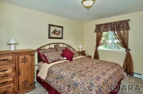 411 Gold Rush Dr, Fruita, CO 81521 photo 21