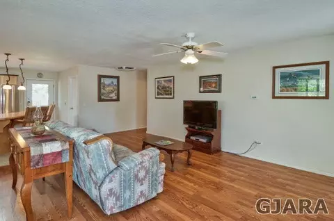 411 Gold Rush Dr, Fruita, CO 81521 photo 7
