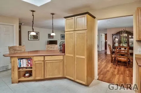 411 Gold Rush Dr, Fruita, CO 81521 photo 16