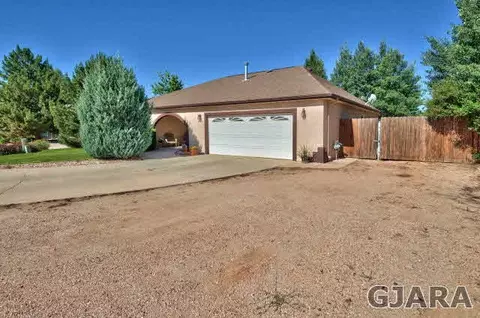 411 Gold Rush Dr, Fruita, CO 81521 photo 3