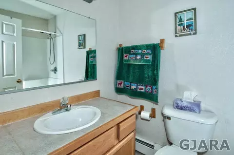 411 Gold Rush Dr, Fruita, CO 81521 photo 23