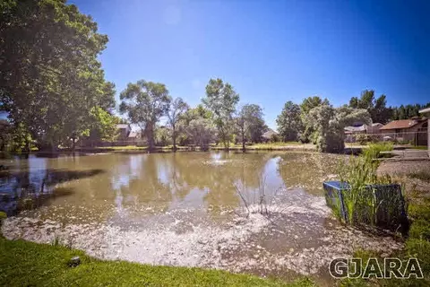 175 Sunset Dr, Fruita, CO 81521 photo 29
