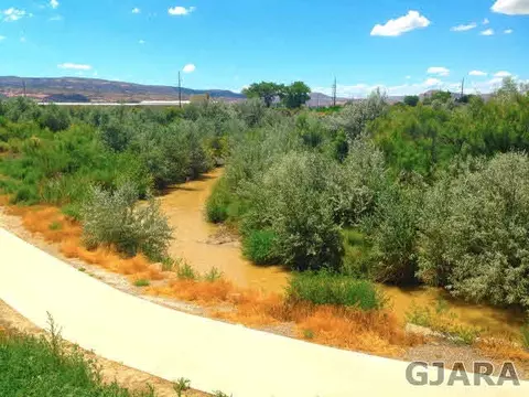 437 Breeze Dr, Fruita, CO 81521 photo 5