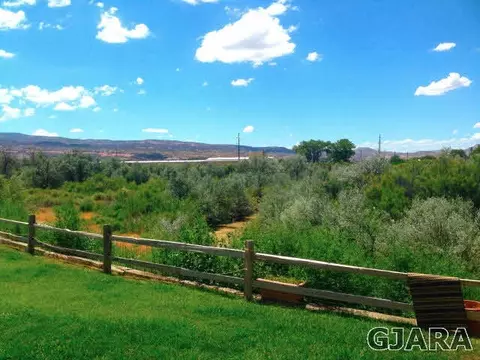 437 Breeze Dr, Fruita, CO 81521 photo 4