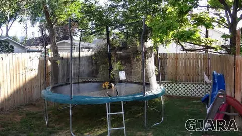 151 S Elm St, Fruita, CO 81521 photo 25