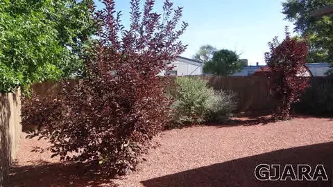 463 Phyllis Dr, Fruita, CO 81521 photo 5